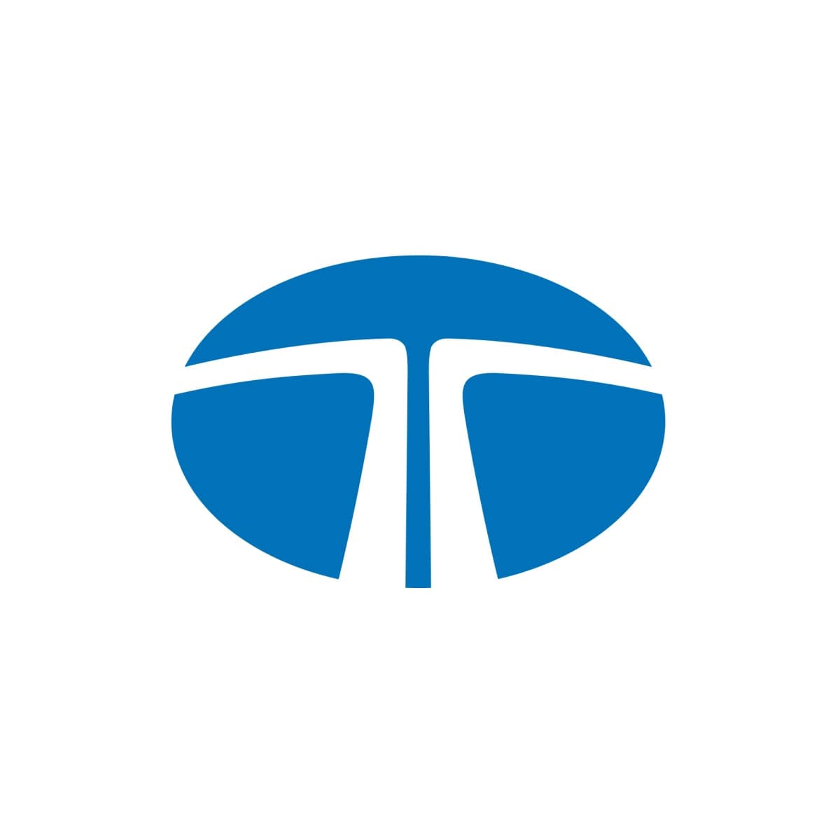 Tata Foundation