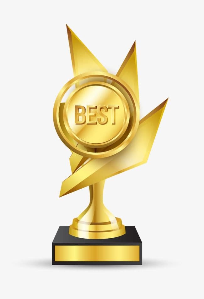NGO Excellence Award 2024
